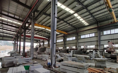 浙江石材市場栽好梧桐樹 攝人氣魄引得鳳來棲